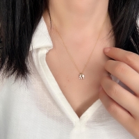 Minimal Fil Mineli Altın Kolye AK392
