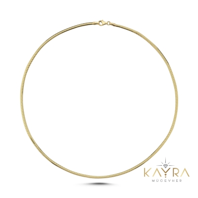 Balık Sırtı Altın Zincir AKZ03