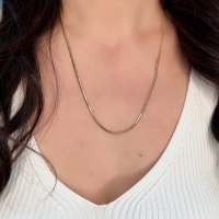 Balık Sırtı Altın Zincir AKZ03