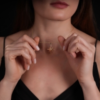 Kuzey Yıldızı Altın Kolye AK448