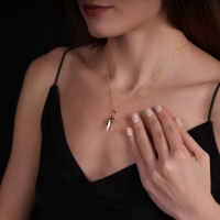 Kuzey Yıldızı Altın Kolye AK448