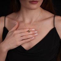 Kuzey Yıldızı Altın Kolye AK448