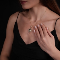 Kuzey Yıldızı Altın Kolye AK459