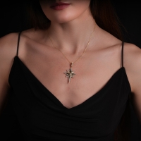 Kuzey Yıldızı Altın Kolye AK459