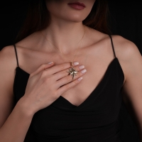 Kuzey Yıldızı Altın Kolye AK459