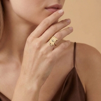 Peynir Özel Tasarım Altın Yüzük Y541